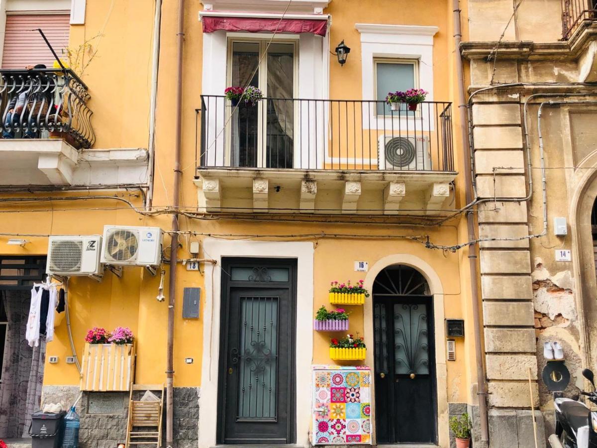 Petit Catania